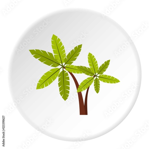 Palma icon. Flat illustration of palma vector icon for web