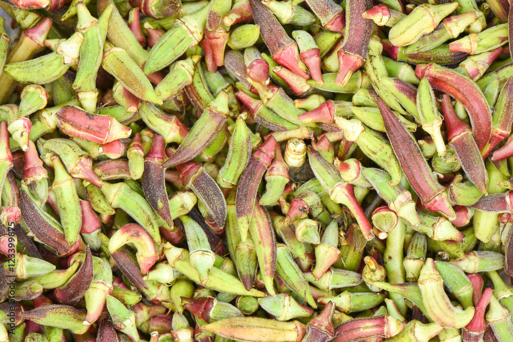 Fresh okra vegetable Fresh okra vegetable