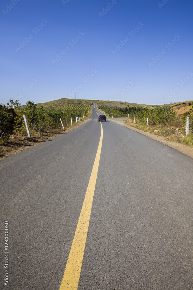 asphalt road on grassland