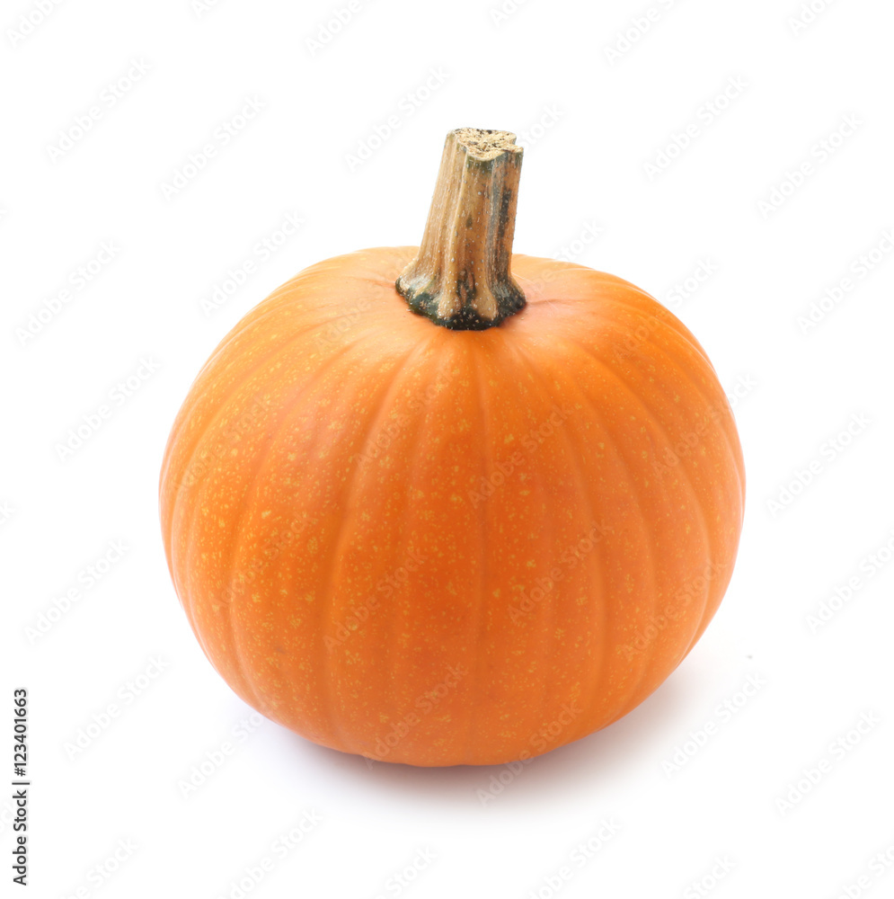 Obraz premium Pumpkin