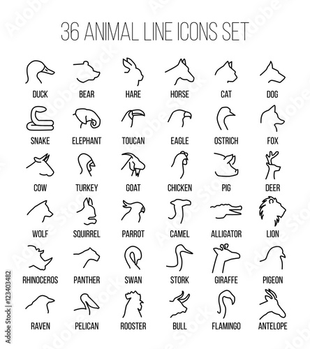 Set of animal icons in modern thin line style.