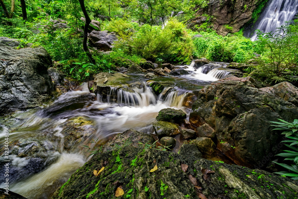 Stream in the tropical jungle and rain forest Stream in the tropical jungle and rain forest