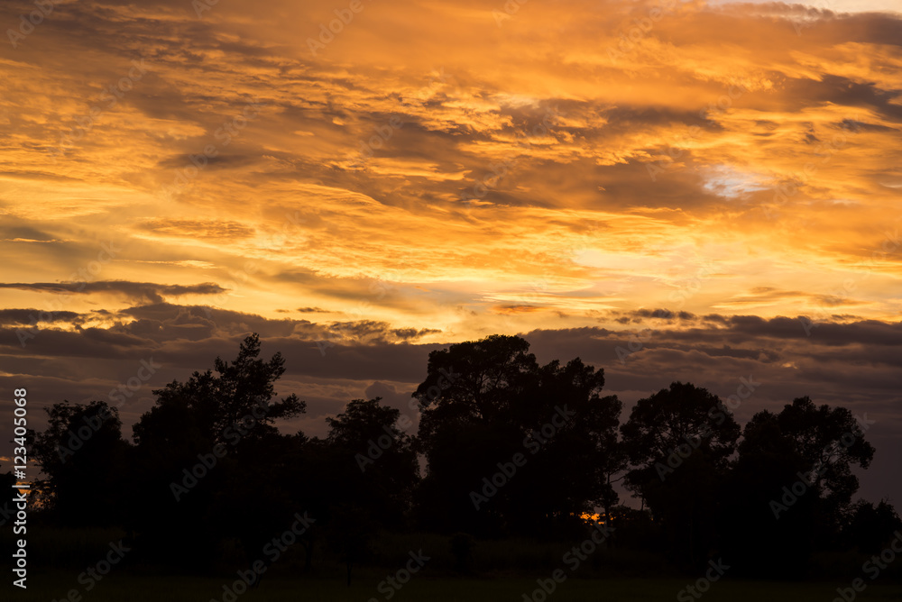 Dramatic Bright sunrise sun over forest silhouette. Dramatic Bright sunrise sun over forest silhouette.