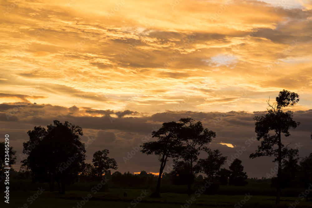 Dramatic Bright sunrise sun over forest silhouette. Dramatic Bright sunrise sun over forest silhouette.