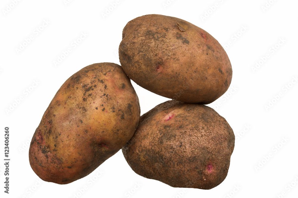 Potatoes isolated on a white background Potatoes isolated on a white background