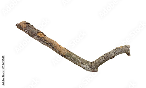 Dried branch isolated on white background