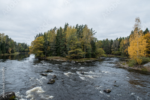 Swedish river landscape in autumn