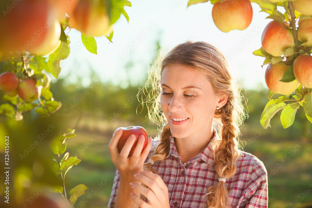 Beautiful young woman picking ripe organic apples