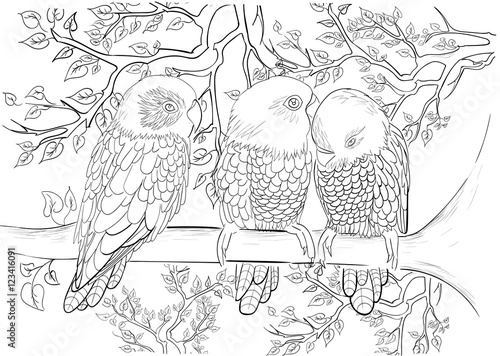 Hand drawn ink pattern. Coloring book for adult