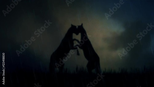 2 Horses Fighting on a Field Under a Lightning Storm