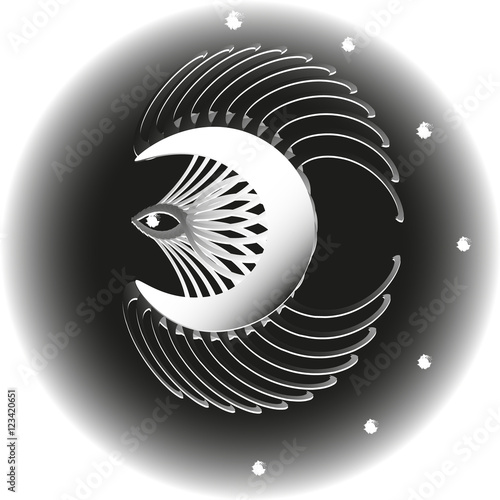 Bird moon in the night sky
Picture abstraction design style applique paper color black white star Paulsen cutting of object art circle shadow logo book cover vector illustration eps10 stock
 photo