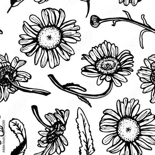 Beautiful vintage background with black daisies seamless patern on white background. Vector