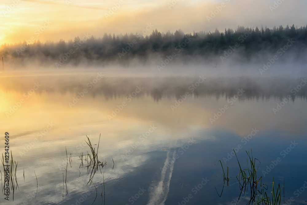 Fototapeta premium lake sunrise fog sun mist