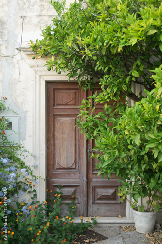 Fototapeta Naklejka Na Ścianę i Meble -  Orebic,brown door in the garden,peninsula Peljesac,Croatia