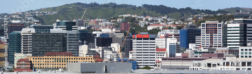 Wellington Downtown Panorama © Ramunas
