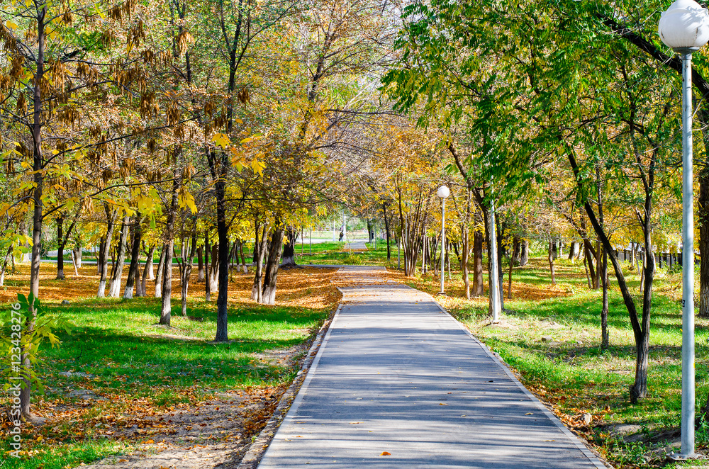 Autumn park Autumn park