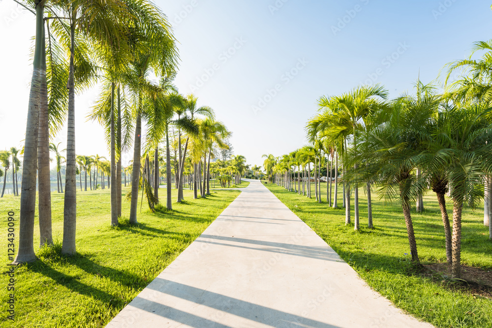 Fototapeta premium Jogging track at green park garden with palm tree