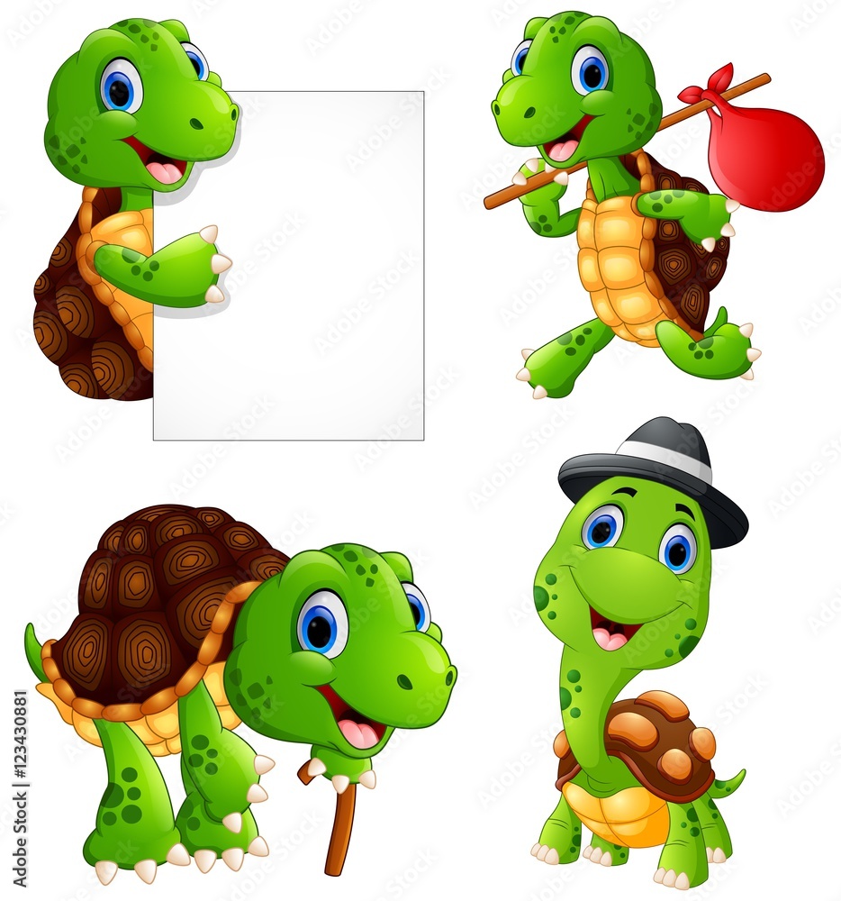 Obraz premium Set of funny turtle on a white background 