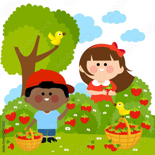 Children picking strawberries in the garden. Vector illustration