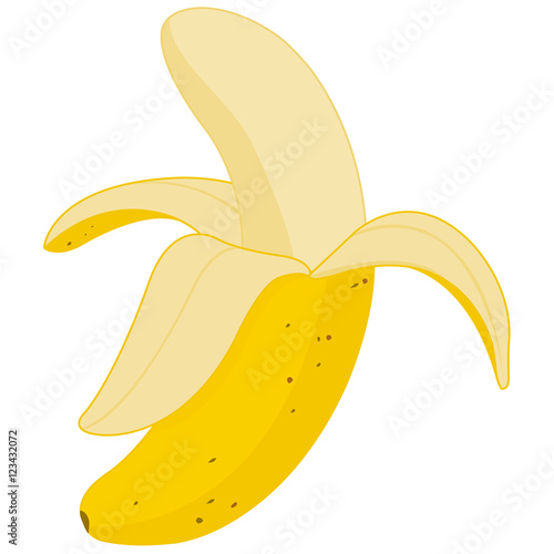 Peeled banana fruit. Vector illustration