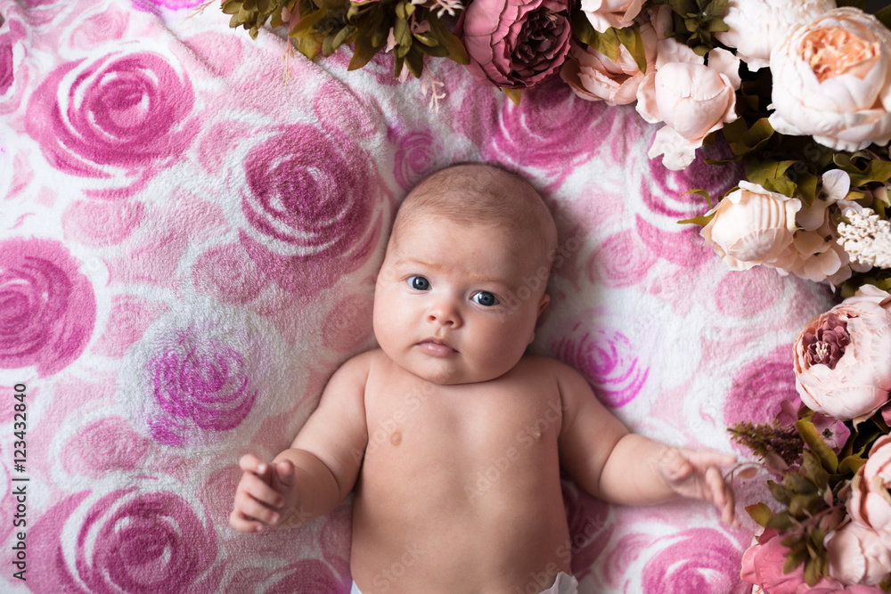 baby girl on a light pink background with roses flowers, close u baby girl on a light pink background with roses flowers, close u