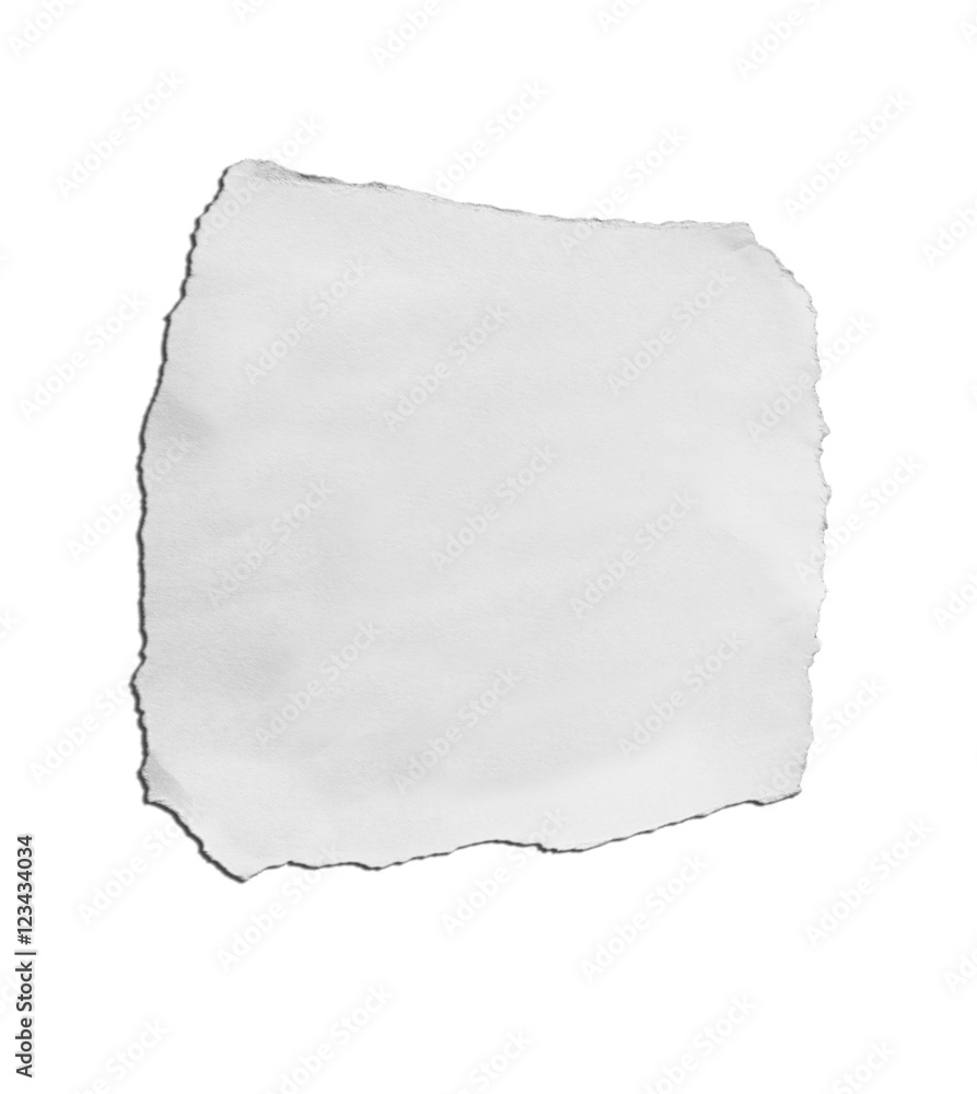 Torn paper, isolated on white background. Torn paper, isolated on white background.