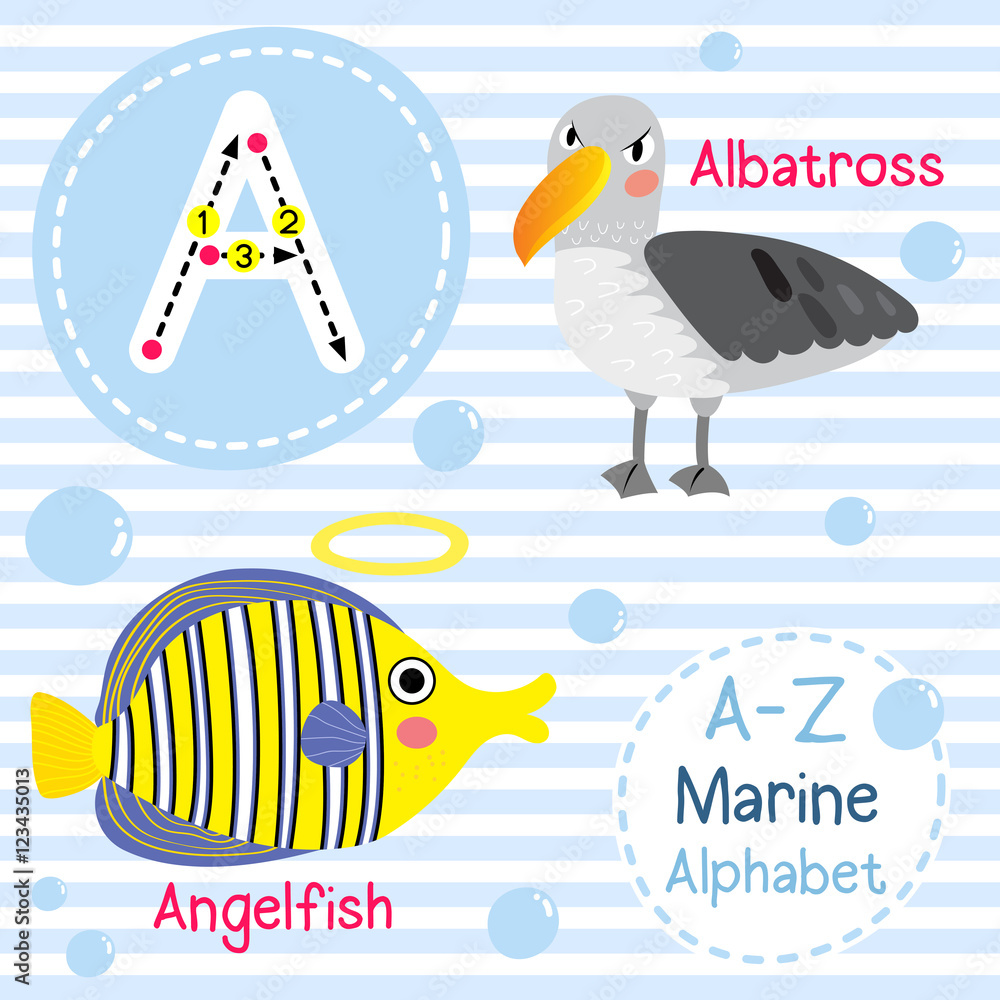 back to school. alphabet for kids from A to Z. funny cartoon animals Water  Bottle by EkaterinaP