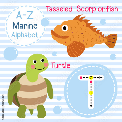 T letter tracing. Turtle. Tasseled Scorpionfish. Cute children sea marine alphabet flash card. Funny cartoon animal. Kids abc education. Learning English vocabulary. Vector illustration.