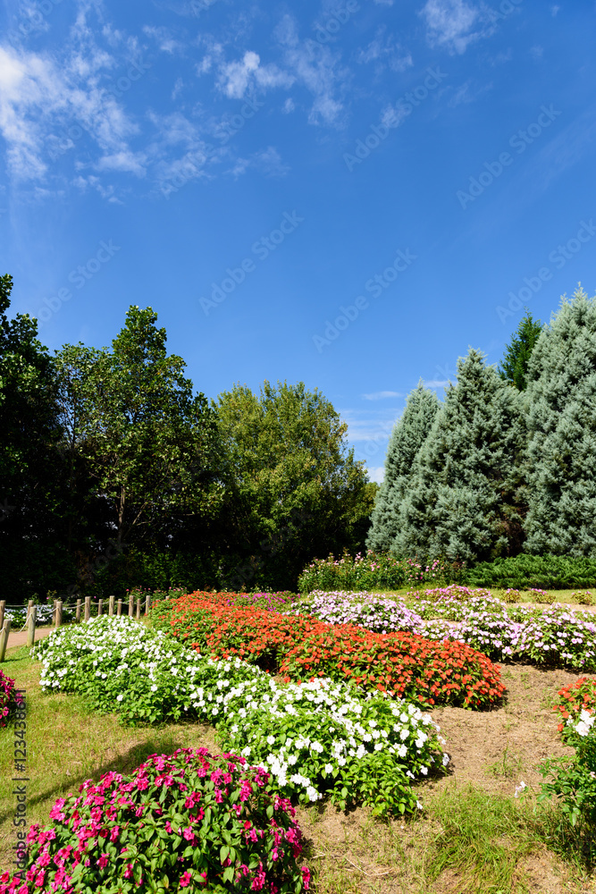 Fototapeta premium 馬見丘陵公園