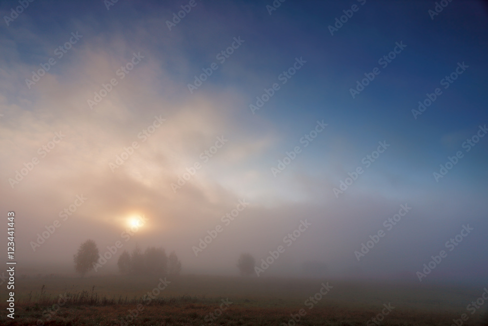 Autumn foggy morning. Misty sunrise in the meadows Autumn foggy morning. Misty sunrise in the meadows