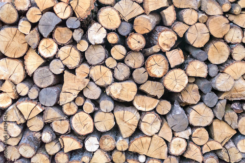 wall firewood   Background of dry chopped  logs in a pile