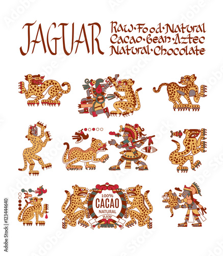 sketch drawing aztec cacao bean, leaves, nibs, pattern for choco