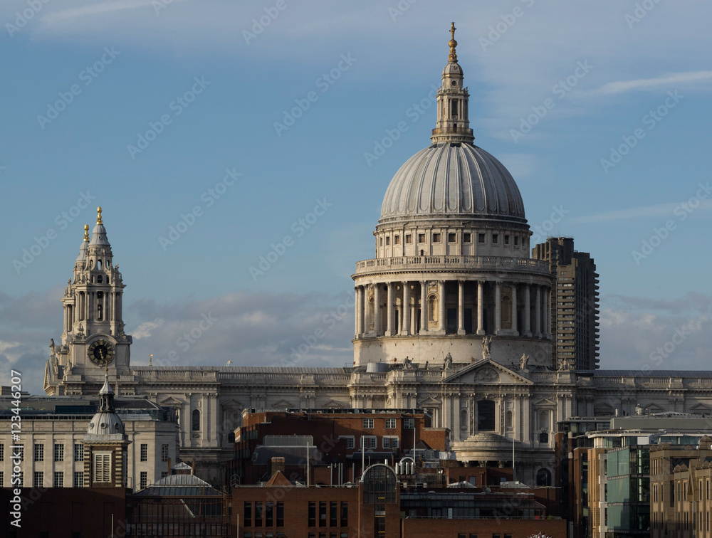 Fototapeta premium St Pauls Cathedral 101