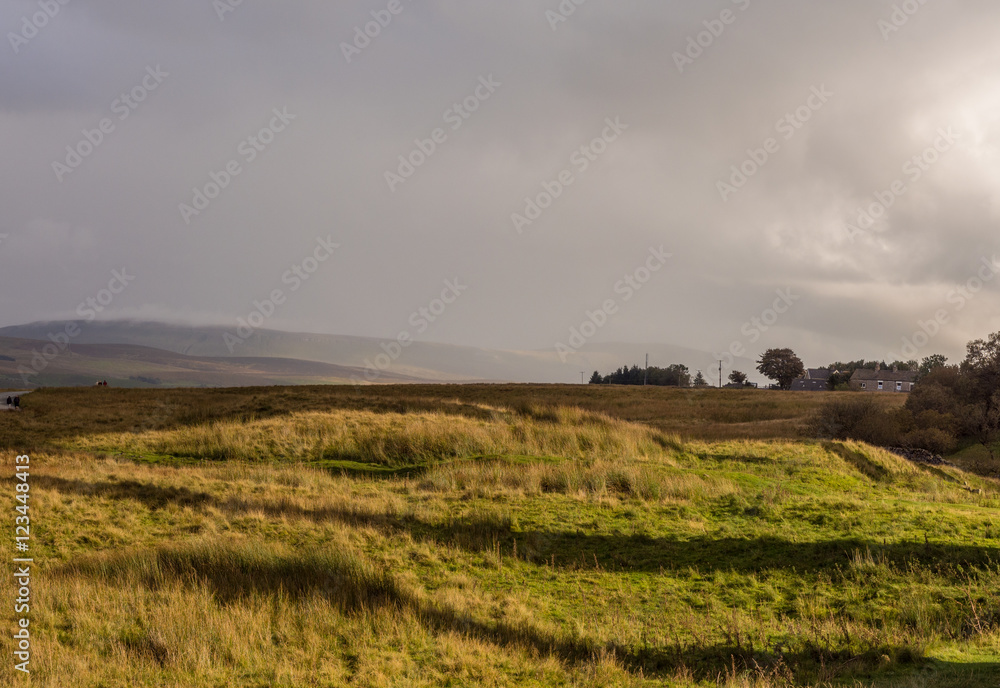 Early Autumn on moorland at Ribblehead, Settle, North Yorkshire, UK