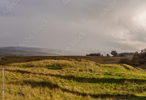 Early Autumn on moorland at Ribblehead  Settle  North Yorkshire  UK