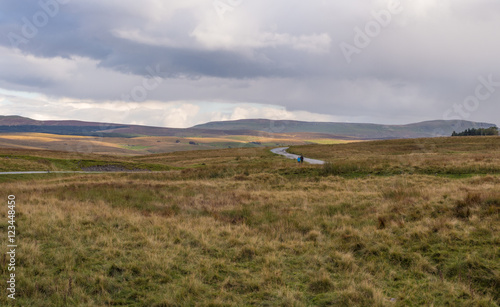 Canvas-taulu Early Autumn on moorland at Ribblehead, Settle, North Yorkshire, UK