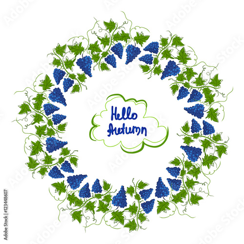 Stylized graphic image of a vine with grapes. Decorative square frame with branch of grapes, grape leaves. Hello autumn. Vector image.