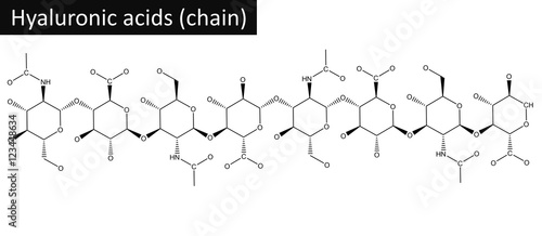 Molecular structure of hyaluronic acid