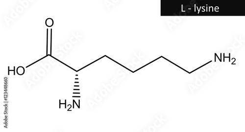Obraz na płótnie Molecular structure of L-lysine