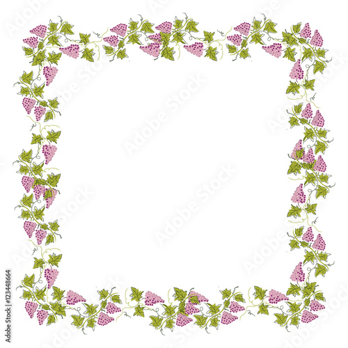 Stylized graphic image of a vine with grapes. Decorative square frame with branch of grapes, grape leaves. Good vine. Vector image.