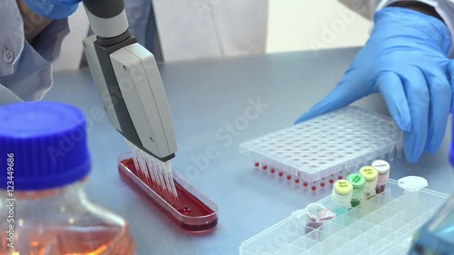 PCR genetic research in laboratory