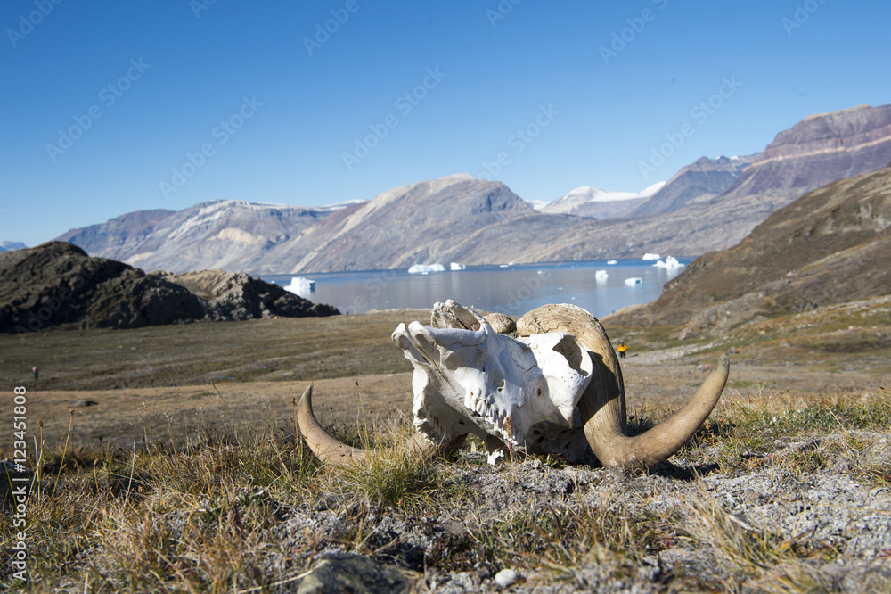 Naklejka premium Mountain view in Greenland