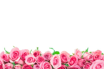 border of Beautiful fresh sweet pink rose isolated on white for love romantic valentine background