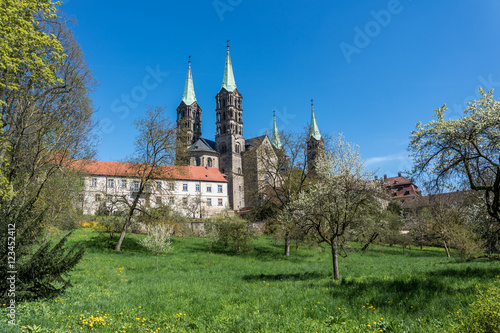 Bamberg Dom im Fr  hling