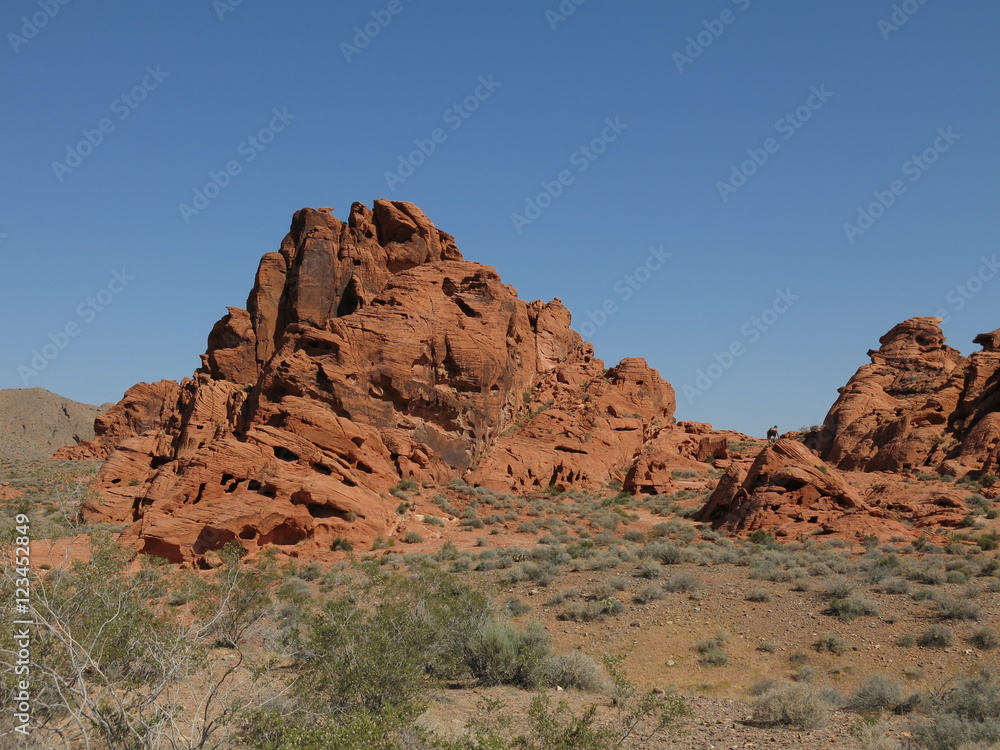 Fototapeta premium valley of fire state park, nevada 
