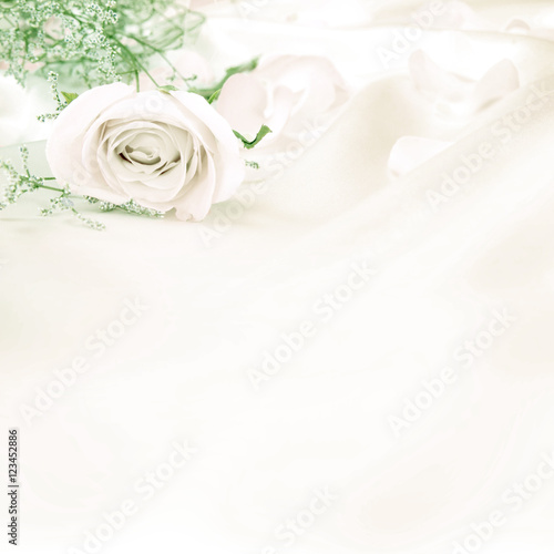 soft sweet rose flowers for love romance background