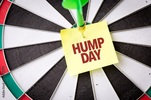 Canvas Print Hump Day