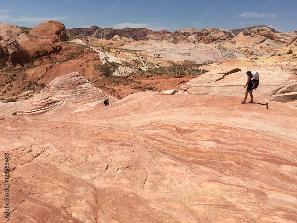track to fire wave, valley of fire state park, nevada
track to fire wave, valley of fire state park, nevada
