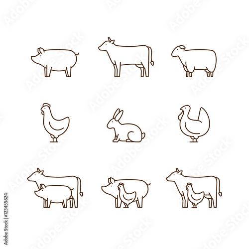 Fototapeta Naklejka Na Ścianę i Meble -  Farm animal outline icon set. Pig, cow, lamb, chicken, turkey, rabbit. Icon for butcher shop. Vector illustration.