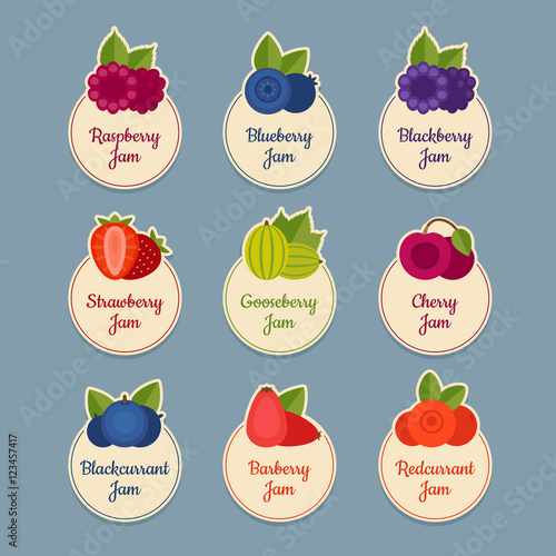 Berry icon set. Labels with berries. Flat style, vector illustration.